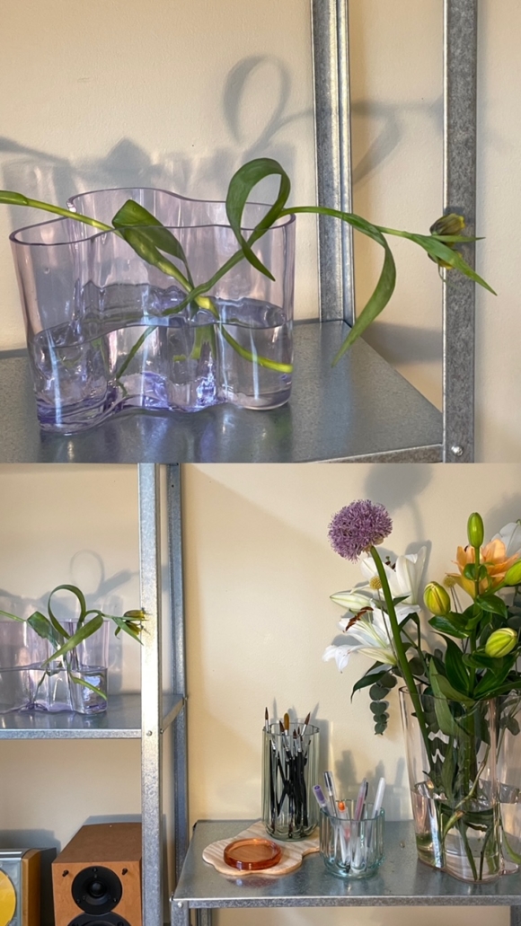 Olivia x Iittala